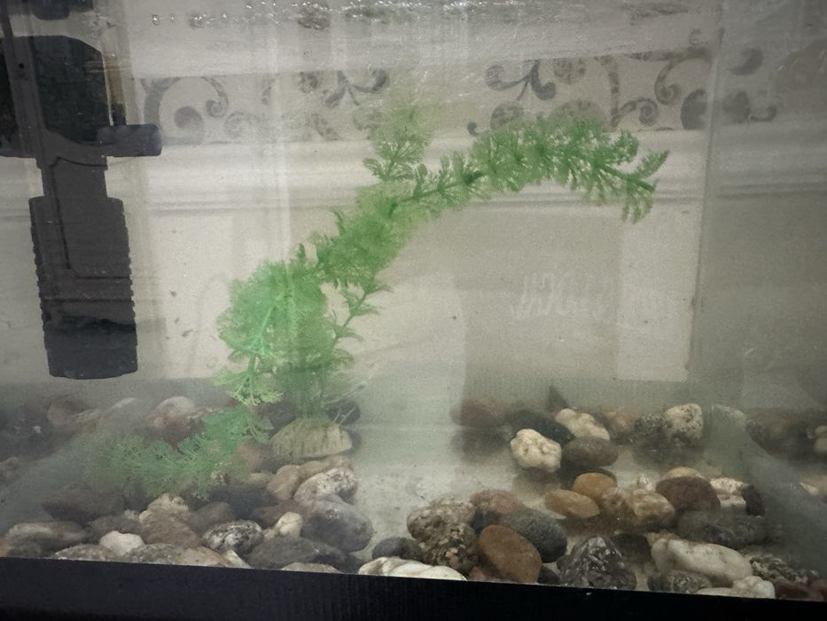 Аквариум 20л в сборе