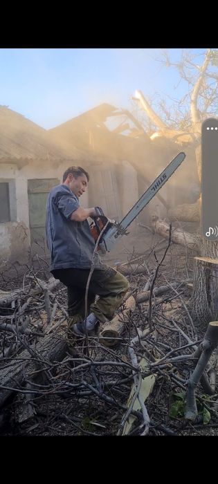 Спил деревьев,  обрезка, ағаш кесеміз, о