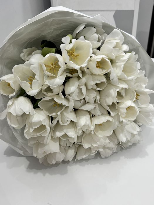 41 штук белых тюльпанов