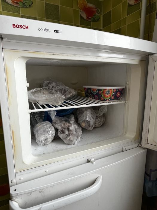 Холодильник с морозильной камерой