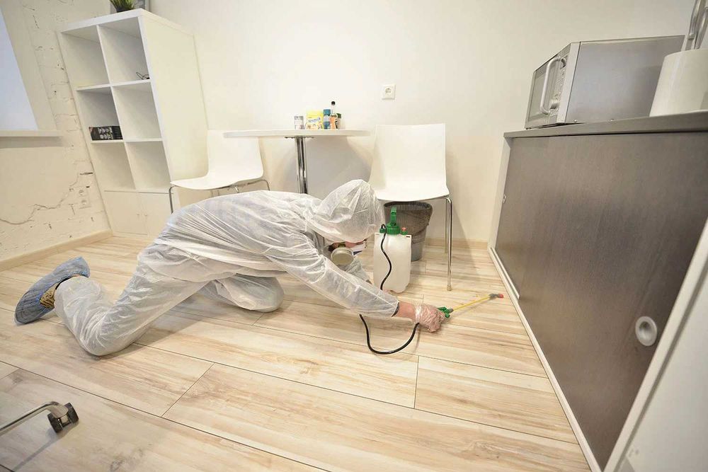 Дезинфекция Dezinfeksiya 24/7 обработка клоп, таракан, запахи, плесень