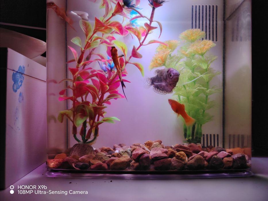 Продам аквариум, с подсветкой встроенной