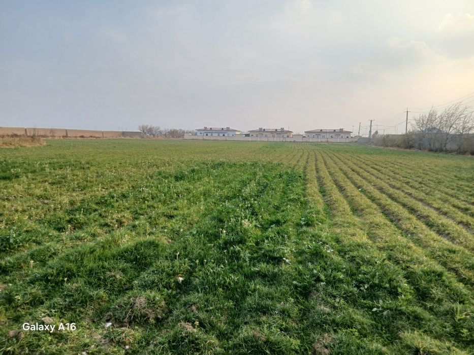 Ем хошак обори сотилади