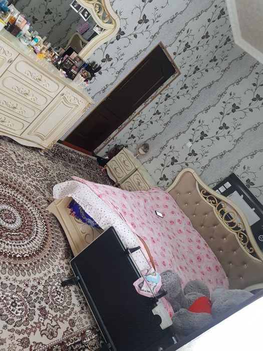 Kotej sotiladi 6 sotik