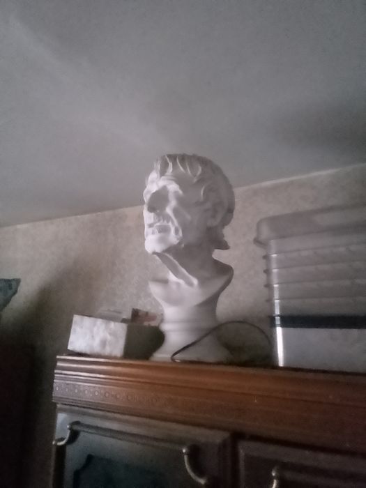 Голова Сенека 48см