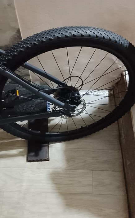 Alpha Mustang5 29 оригинал