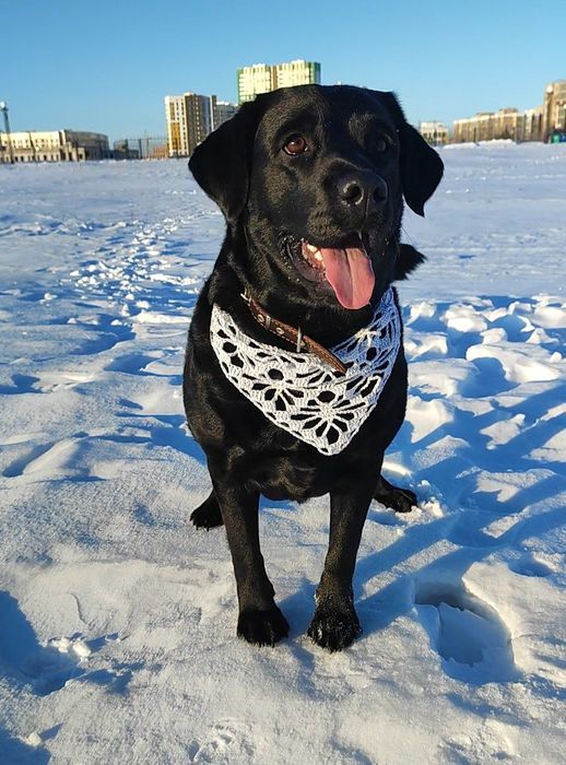 Шикарные косынки ручной работы