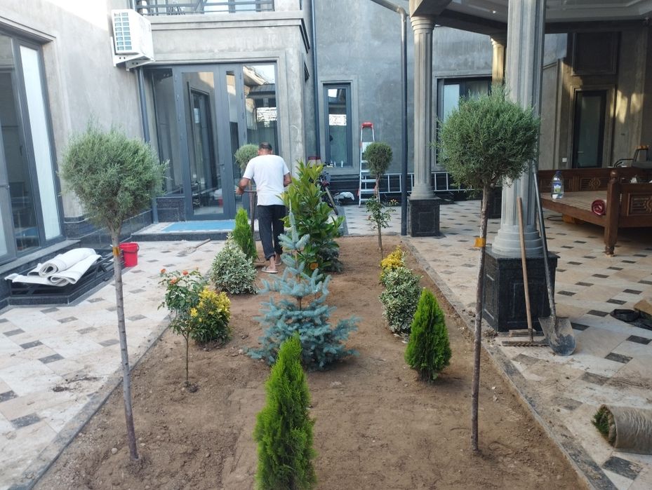 Газон     Gazon.