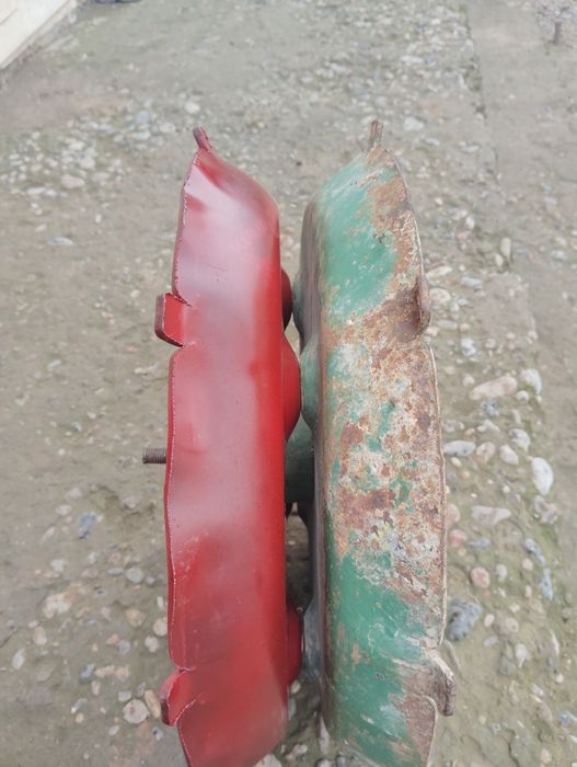 Ruminski selka zabchast