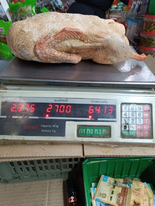 Домашняя утка 4000