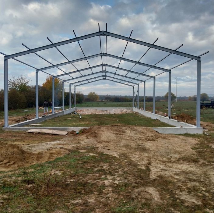Vand hala metalica structura 10x20