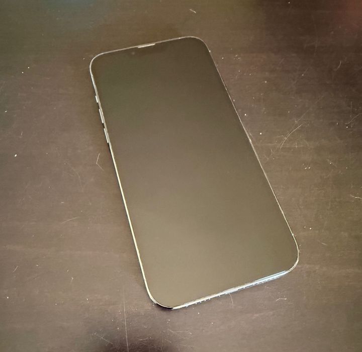 iPhone 13 Pro Max 256 GB / Sierra Blue