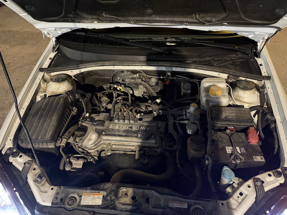 Жентра 3 позиция 2023 родной краска тозза