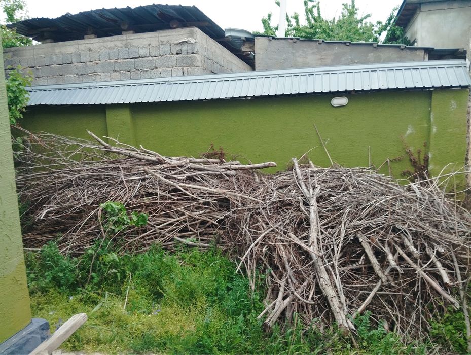 Бесплатные дрова