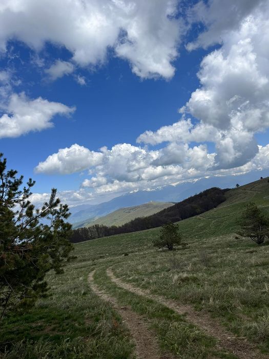 Мухи за риболов на речен кефал