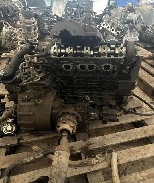 Chiulasa Volkswagen VW Sharan 2002 1.9 TDI MT (115 hp)