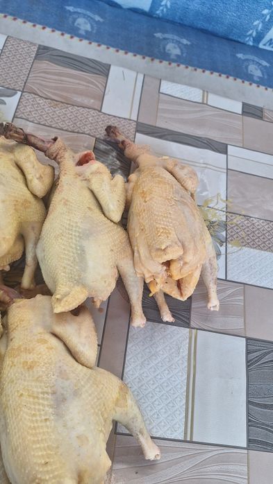 Куры резаные тушки