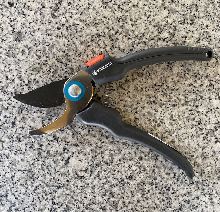 Foarfeca gradina, Gardena