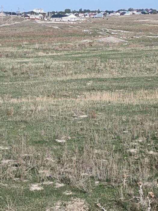 Продам землю к/х Кольащы