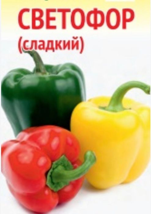 Перец светофор продам