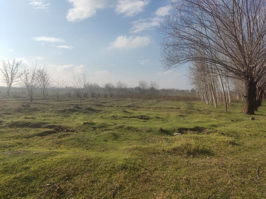 Hokim qarori bor 25soʻtix