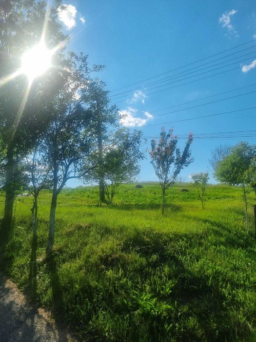 Vand teren intraviland 4820 mp Luncoiu de Jos