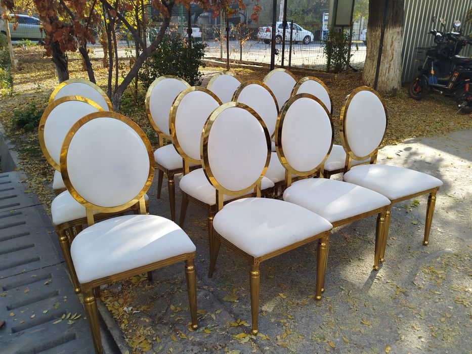 Prakat ga stol stul chinni zontik (4×8) prakatga beriladi