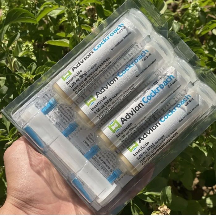 Tarakan dori (konsultatsiya garantiya Dezinfektr)Toyir)