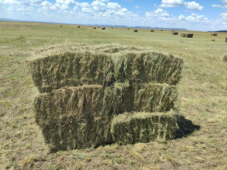 Караганда сено с доставкой
