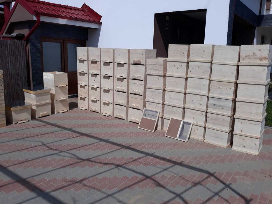 Rame insarmate tei,rame stupi,stupi lazi,hranitoare tei-DOLJ