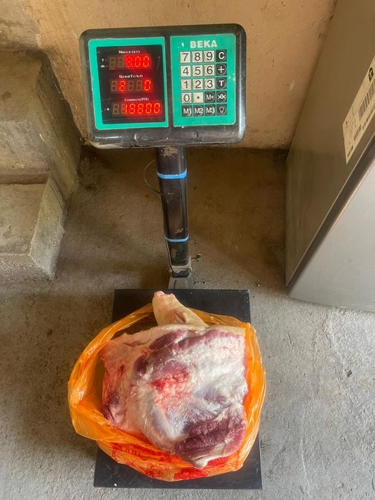 Продам свинину молодую