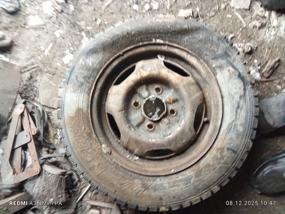 Резина зимняя шипованая