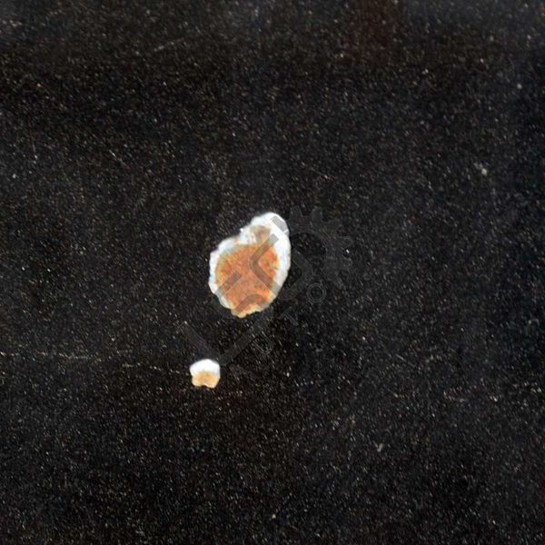 Преден капак BMW X3 (E83) 2003 -2010 ID:102249