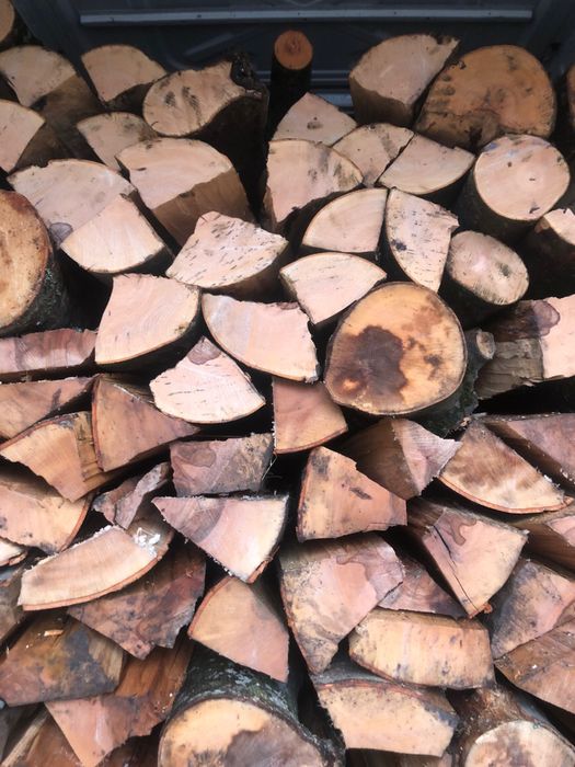 Lemne de foc fag,(POZE REALE)