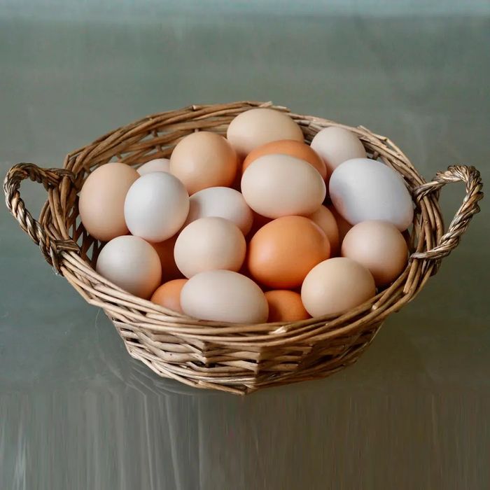 Принимаем заказы на инкубационные яйца