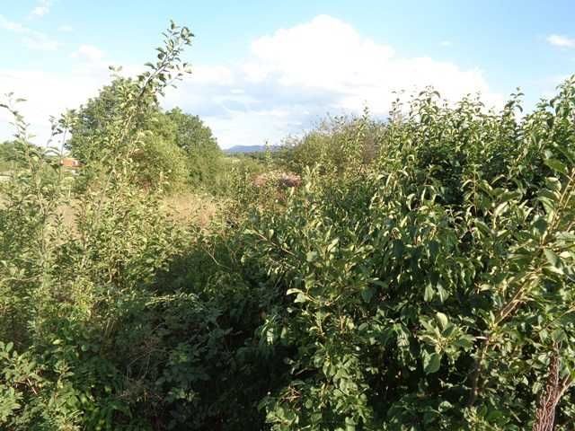 Продава се Парцел в Търговище, Център - 965 кв.м за 32 €/кв.м - Снимка #6