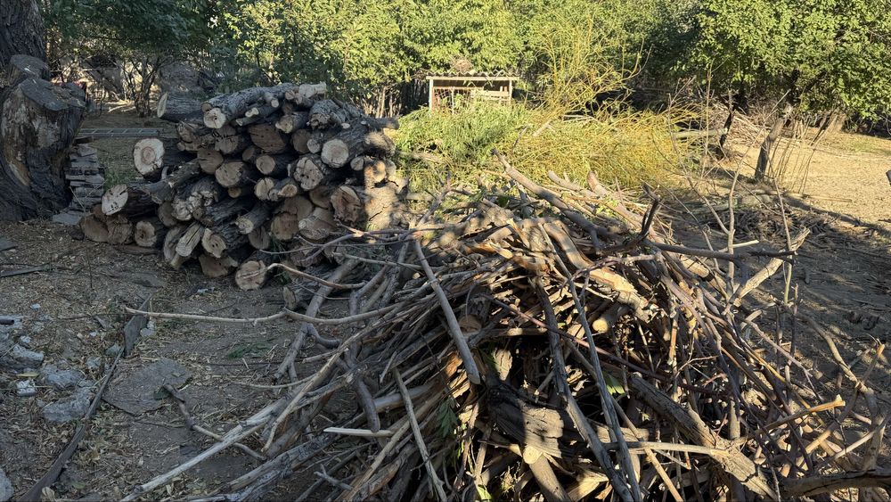 Отын ағаш сатылады!