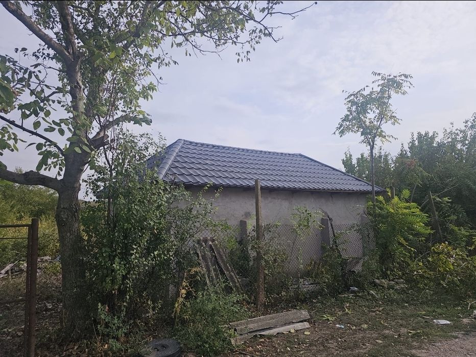 Casă cu Teren 1523 mp – Moșteni (Furculești), 20 km de Alexandria