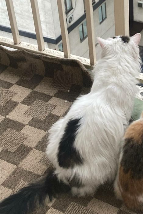 Только ответственным людям!