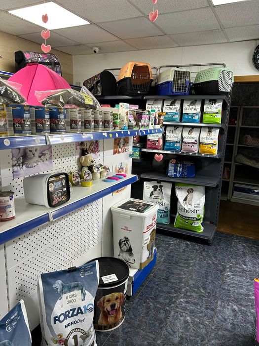 Сдается в аренду помещение