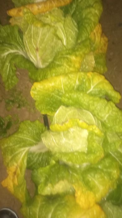 Chimchi karam bor nomi manako