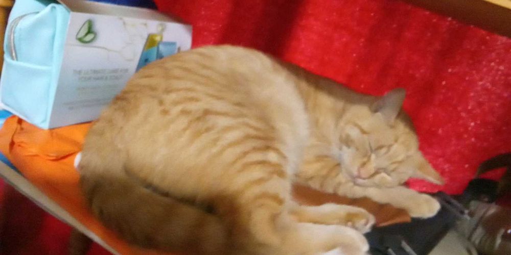 Рижко се подарява