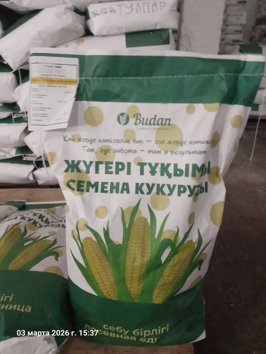 Семена кукурузы жугеры будан Пионер