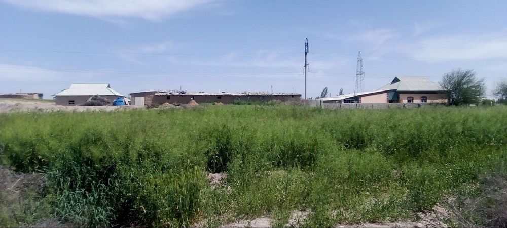 Yer sotiladi 18 sotix muljal Qumqoʻrgʻon neftibaza