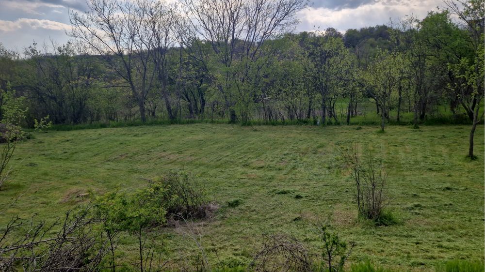 Teren intravilan sat Tohani comuna Gura Vadului ,Prahova