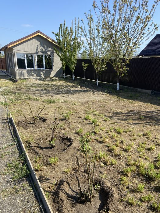 Oaza de relaxare Cazasu