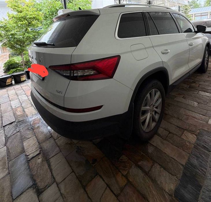 Shkoda Kadyak Siro’chni sotiladi