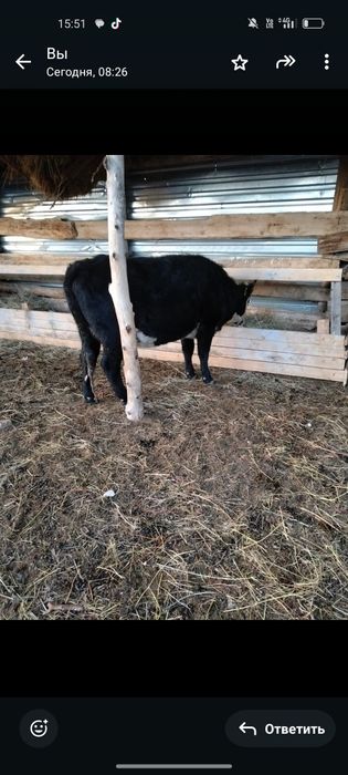 Dhdhdhffhfhffufuffufu