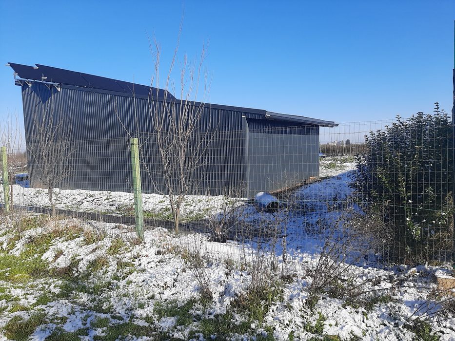 Teren de vinzare PERIS  - Movila