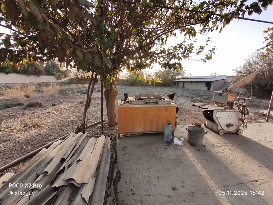 Термез Шахар 40 стухли Ховли сотувда